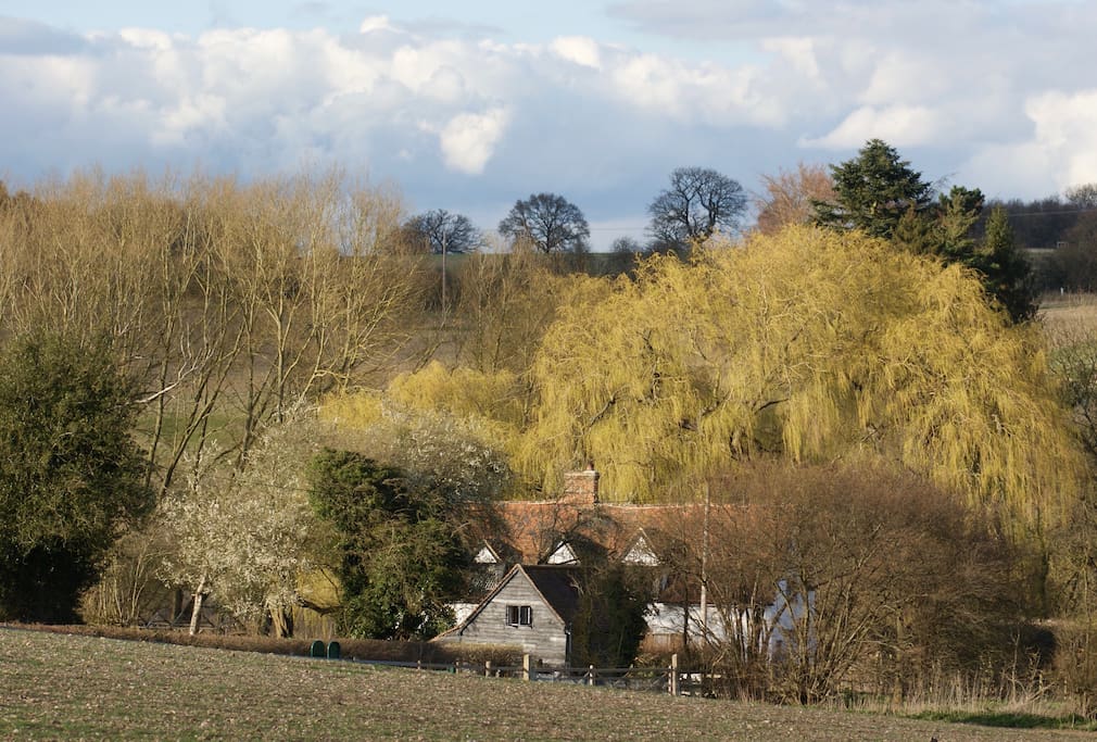 the white cottage garden annexe