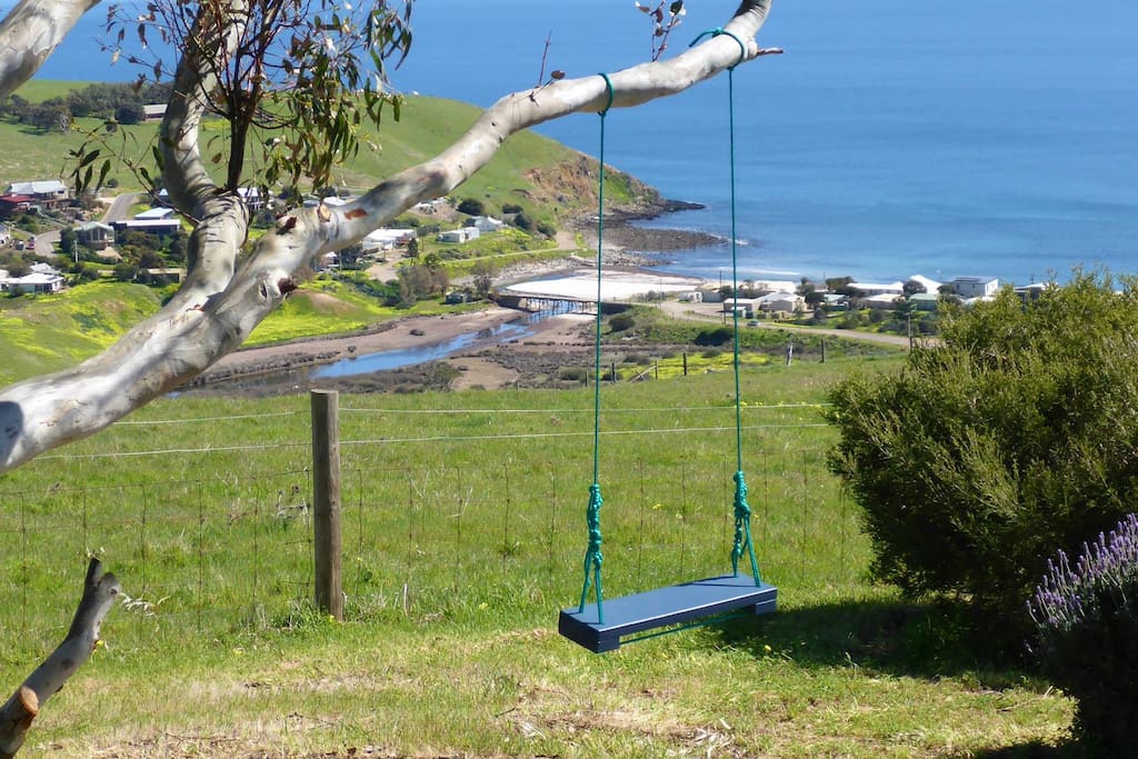 a swing with a view