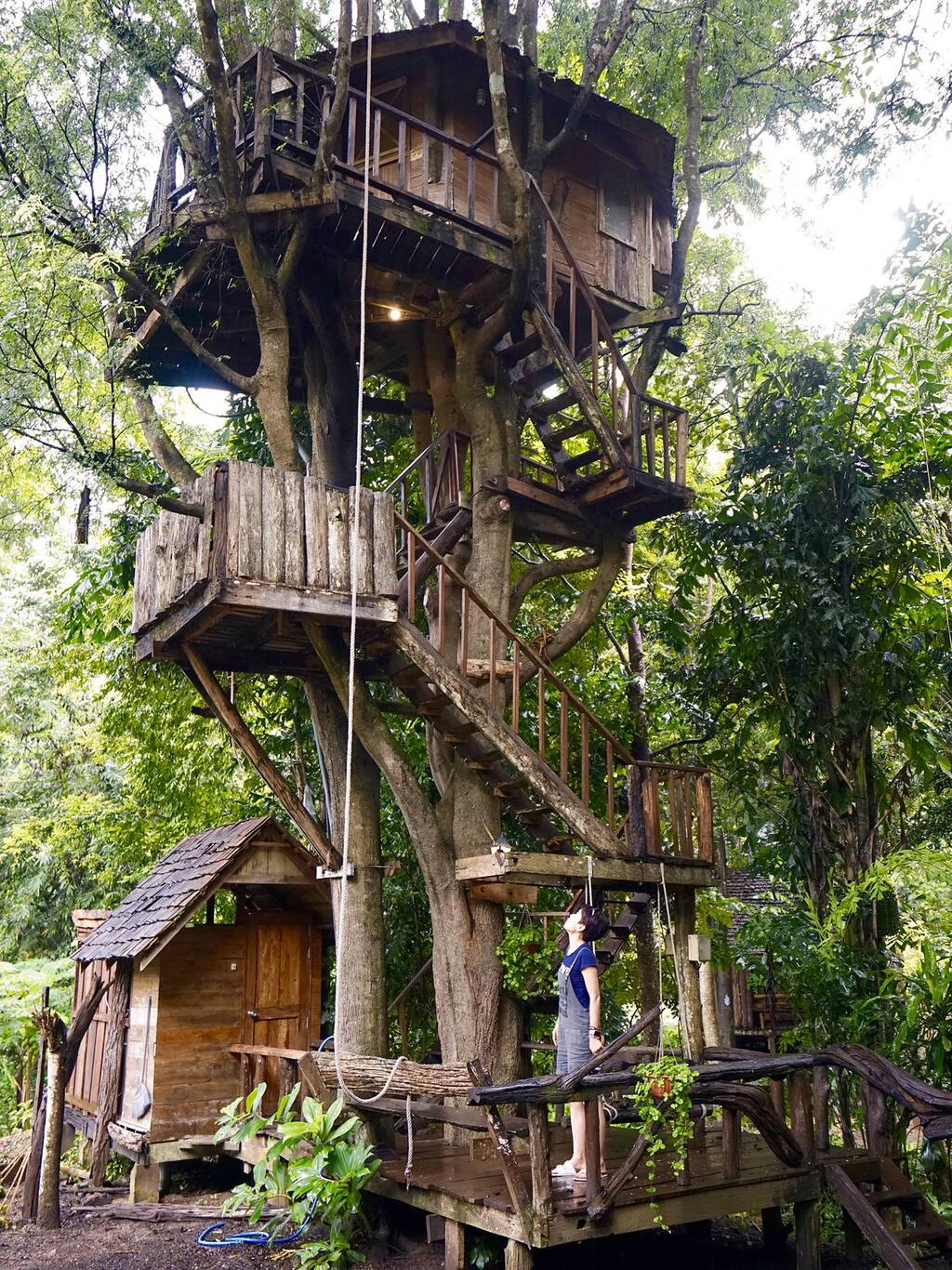 爬上高高的树屋,伴着落酸角声入眠