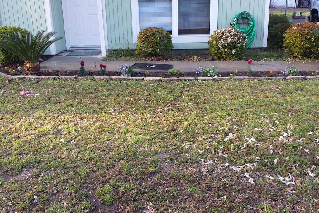 front yard. enjoy a book and the birds.