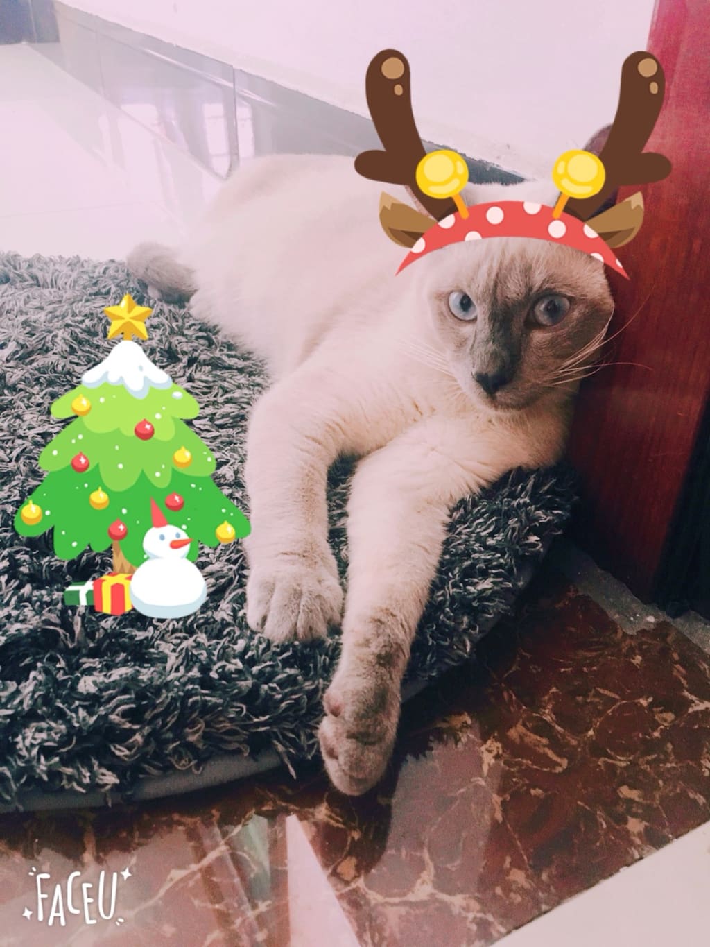 温馨的房子 给圣诞一个marry的理由