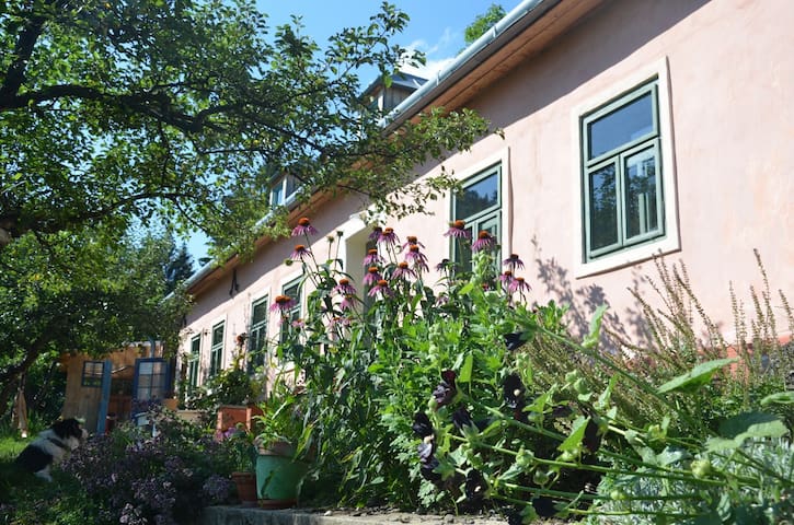 colourful home above the historical centre